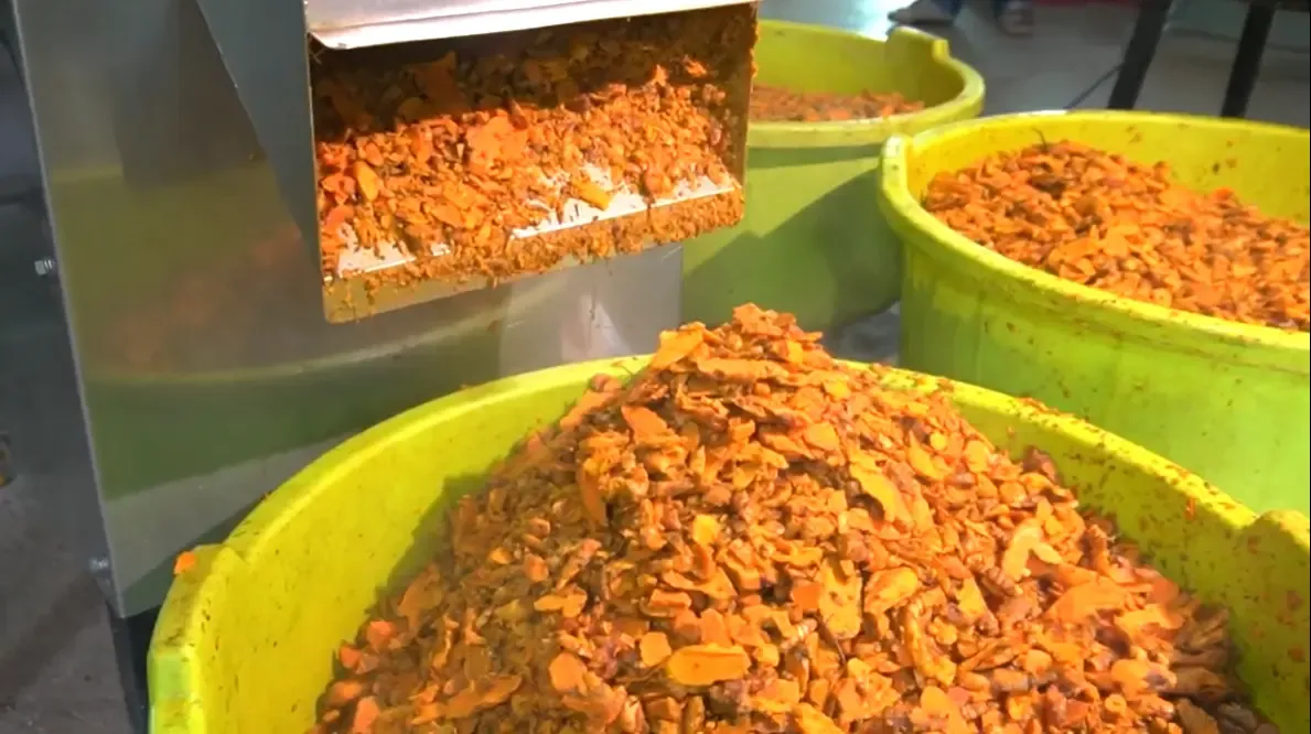 industrial dehydration machine Sri Lanka for agro processing