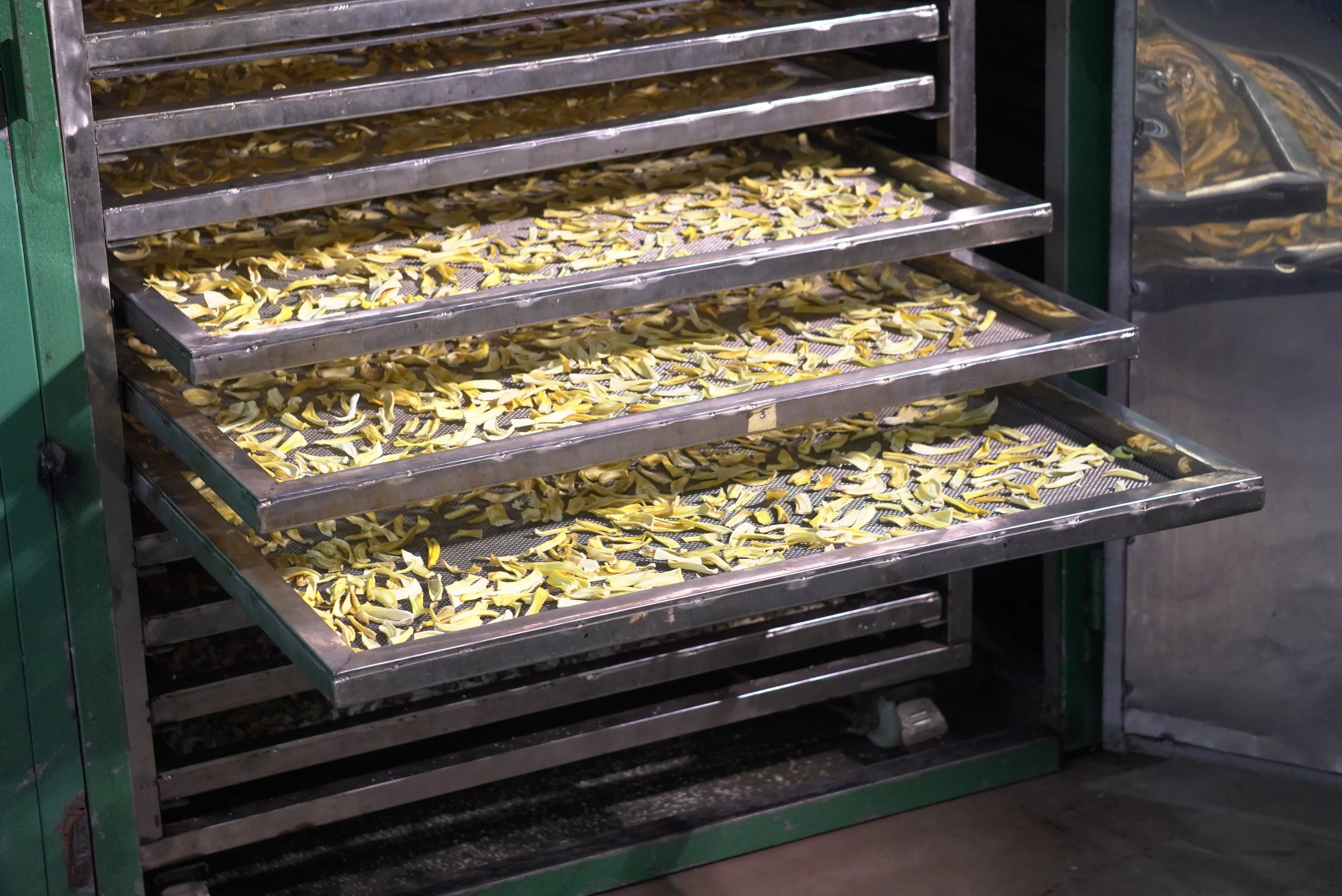 Food Processing machinery